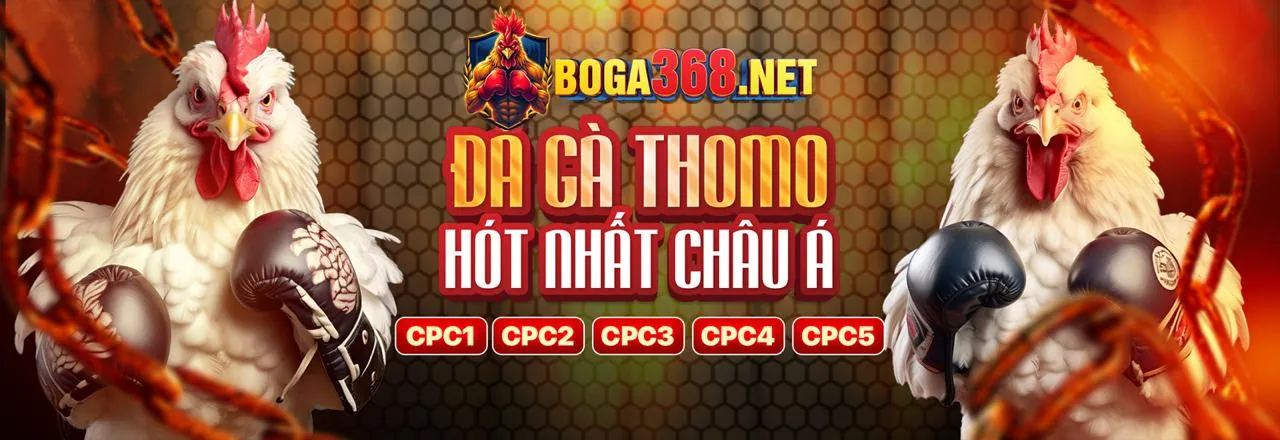 Đá gà trực tuyến bj39 với các trận đấu kịch tính
