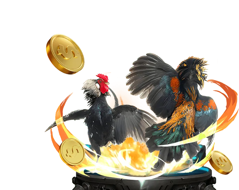 Tổng quan về nền tảng đá gà trực tuyến bj39